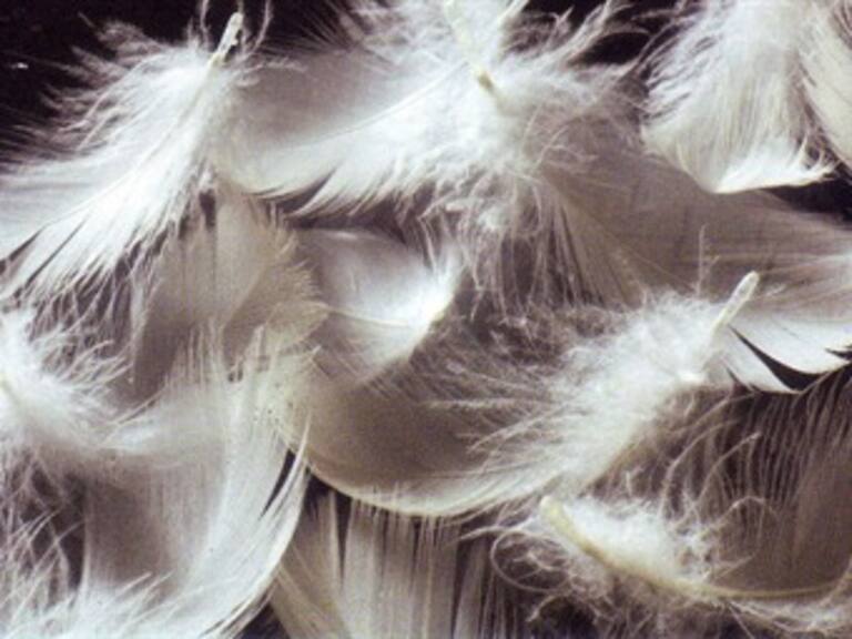 Cientos de personas participan en una gran pelea de almohadas en Nueva York