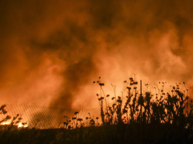 Incendios forestales en Jalisco siguen