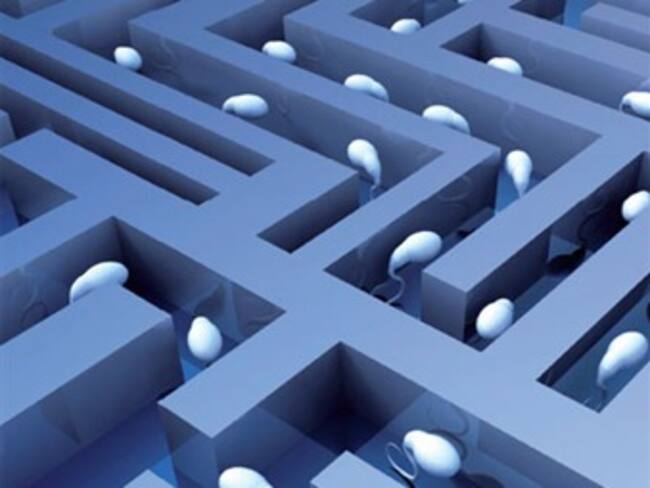 Infertilidad. Jacobo Dava, ginecólogo. 23/02/13