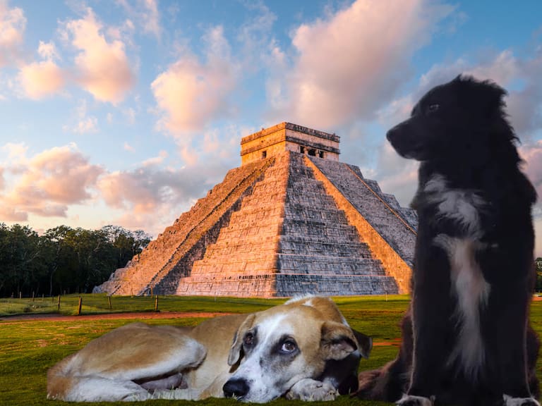 Mx - "El Wero" y "Tomasita" fallecen y les rinden homenaje en Chichén Itzá