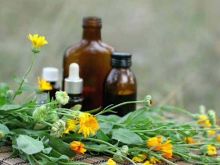 Descubre los beneficios de la herbolaria con Martha Debayle