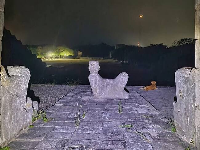 Ella es ‘Osita’ la perrita que cuida la pirámide de Chichén Itzá y ha enamorado a todos por contemplar la Luna