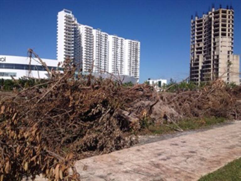 Tajamar es solo una muestra del riesgo en el que se encuentran varias reservas ecológicas en Quintana Roo