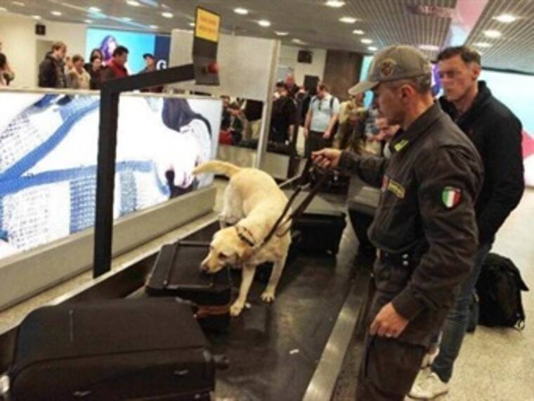 ¿Qué ha pasado con la joven que fue detenida en el aeropuerto? #AngyeLibre