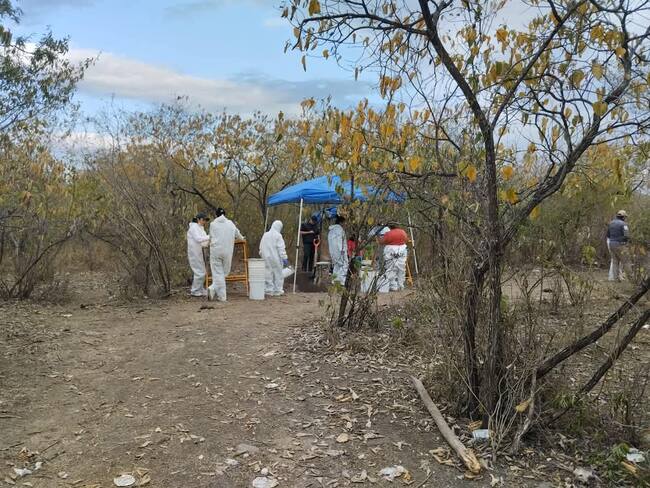 Buscadora pide a gobierno detener desapariciones en SLP tras localización de “campo de exterminio”