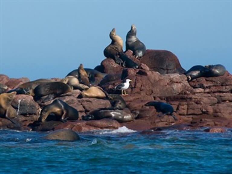 Sumérgete en dos paraísos submarinos