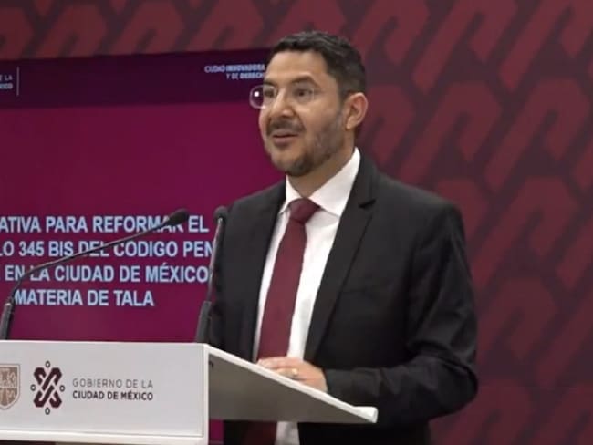 Pena contra tala ilegal podría aumentar hasta 20 años... o más