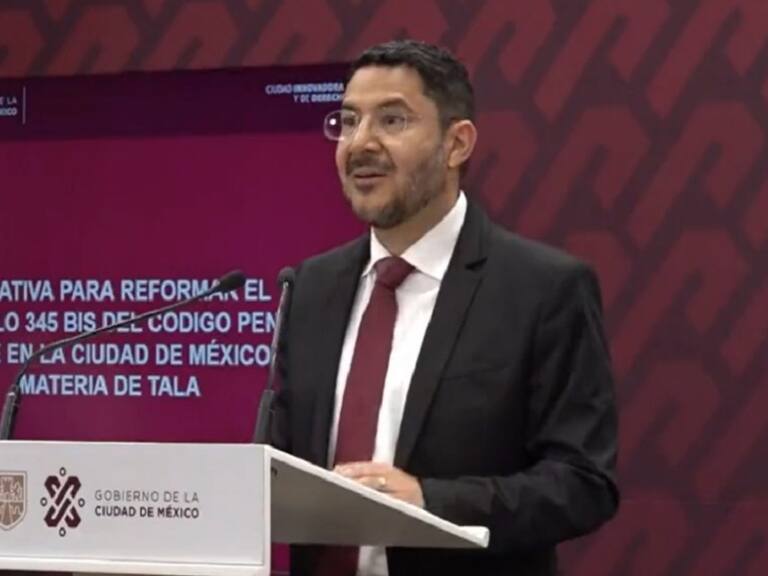 Pena contra tala ilegal podría aumentar hasta 20 años... o más