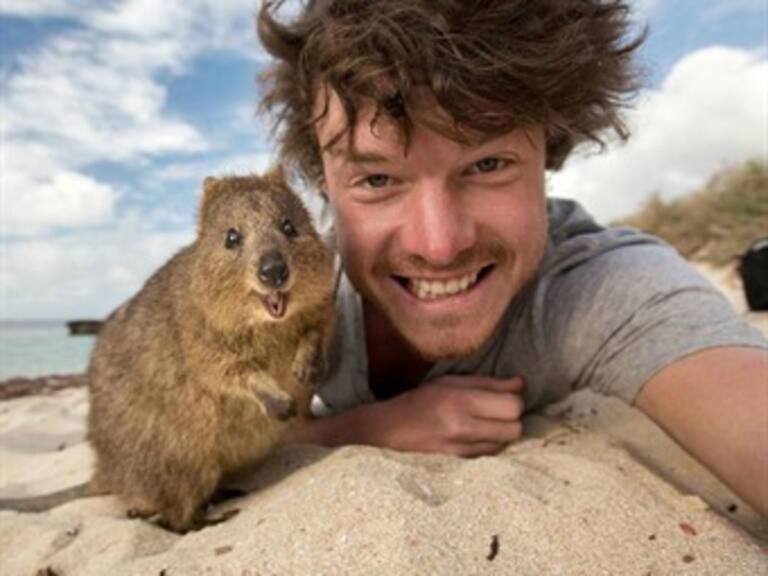Este hombre ha dominado el fino arte de tomarse selfies con los animales