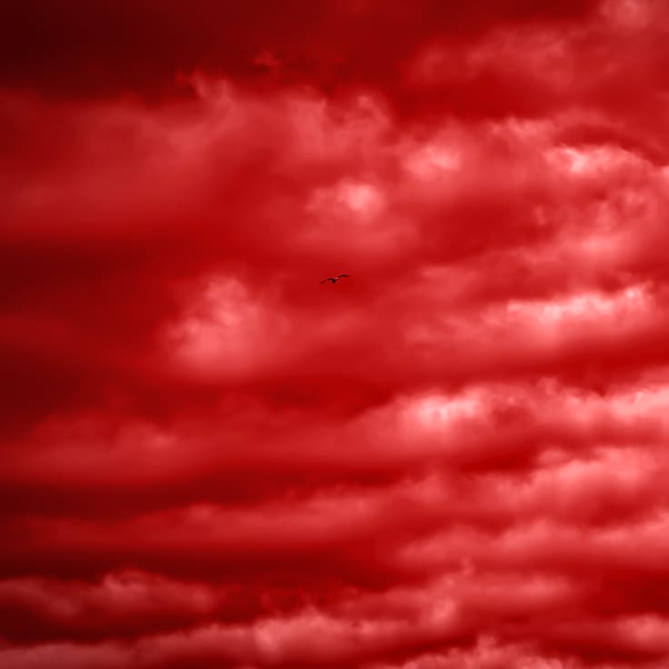 Lluvia de sangre: qué es el fenómeno que teñirá de rojo el cielo este miércoles