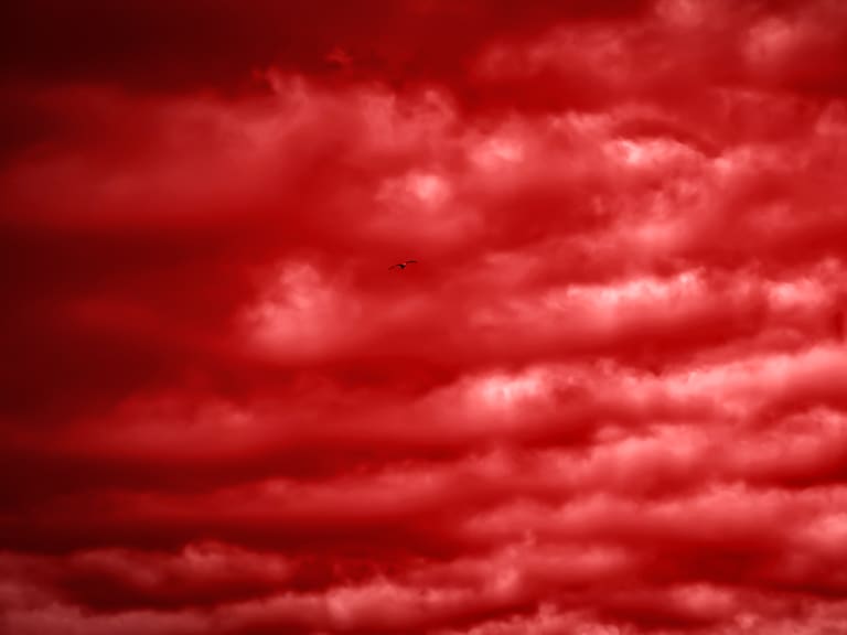 Mx - Lluvia de sangre: qué es el fenómeno que teñirá de rojo el cielo este miércoles
