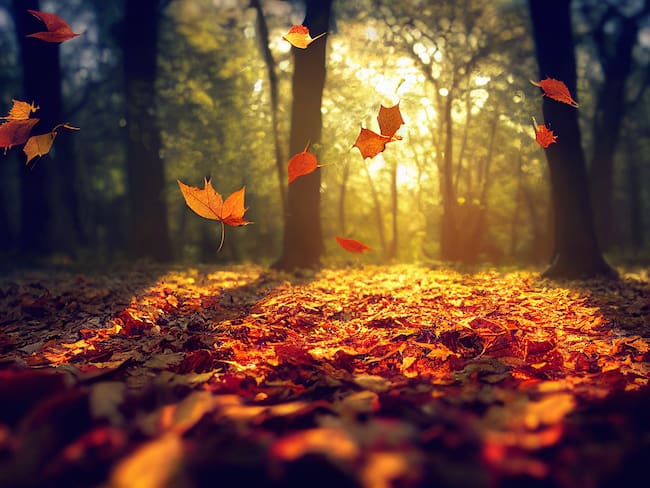 El otoño ha llegado a México: inicio, fin, cambios