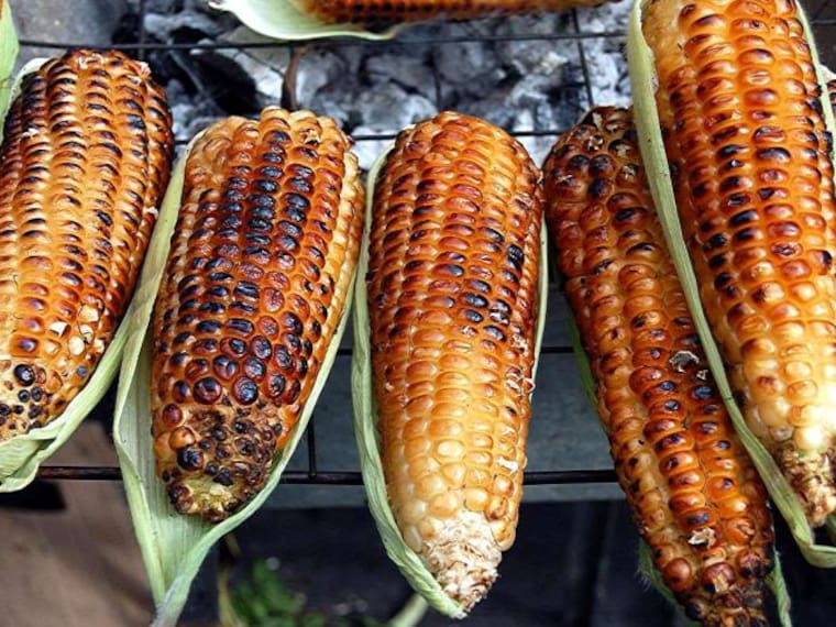 “Así Sopitas”: El maíz podría ser el causante de suicidios en humanos