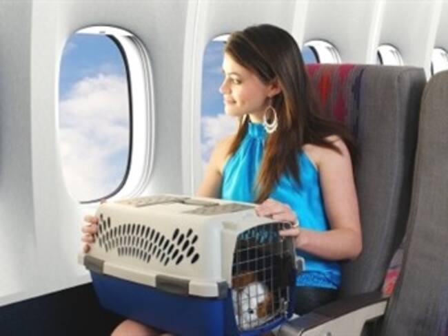 Consejos para viajar con tu mascota 'Lobby W' con Marco Daniel y Fernanda Delgadillo