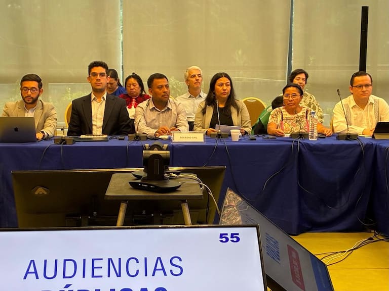 Denuncian ante la CIDH impunidad en 113 casos de homicidio y desaparición de defensores en México