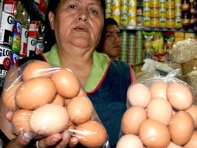 Economía confirma escasez de huevo tras gripe aviar