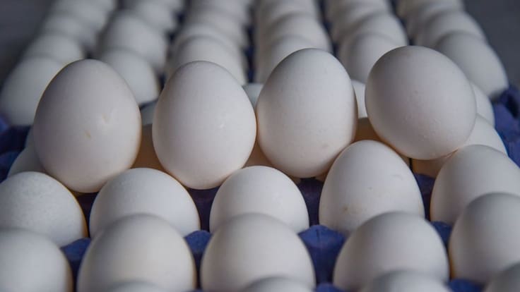 Se dispara precio del huevo; hasta en 40 pesos: PROFECO