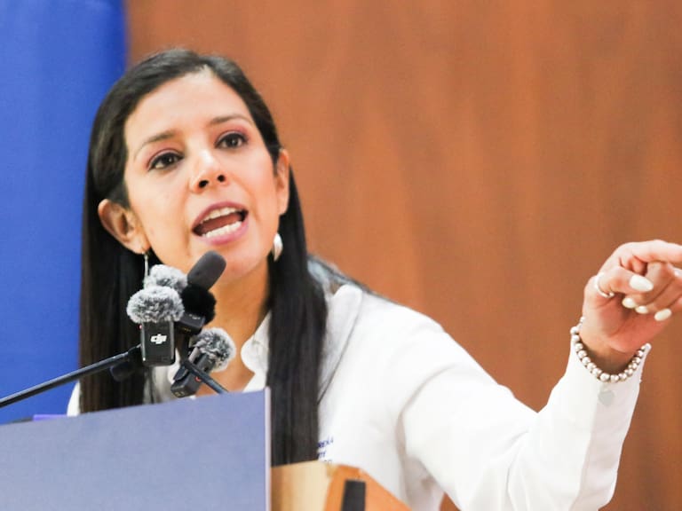 Luisa Gutiérrez, presidenta del Partido Acción Nacional de la Ciudad de México