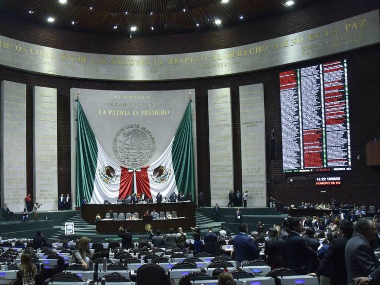 Cámara de Diputados donará 100 mdp para enfrentar epidemia: Laura Rojas