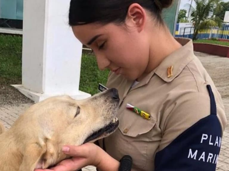 Perrito rescatado de las inundaciones en Tabasco es adoptado por la Marina