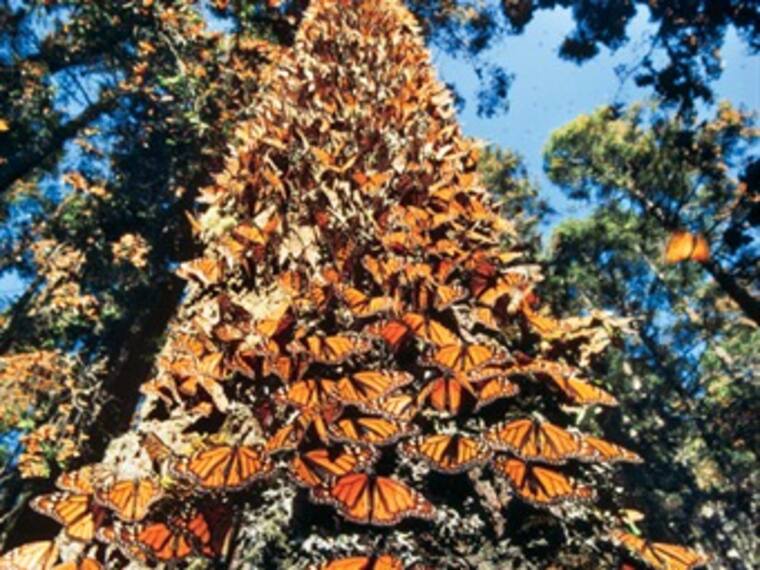 'Líneas del Turismo'. Marco Daniel Guzmán, experto en viajes