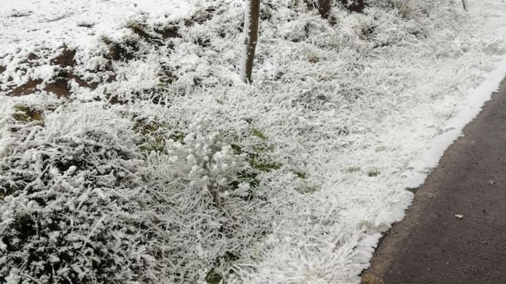 Cae nieve en el Nevado de Toluca
