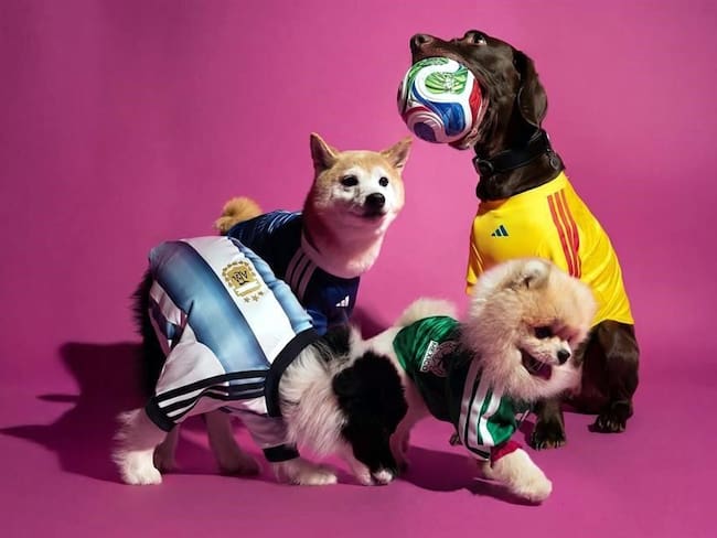 ¡Lomitos mundialistas! Adidas lanza jerseys oficiales para mascotas