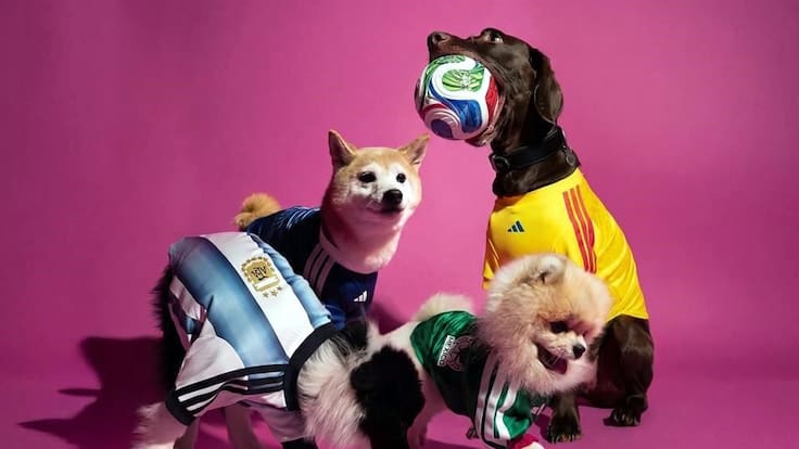¡Lomitos mundialistas! Adidas lanza jerseys oficiales para mascotas