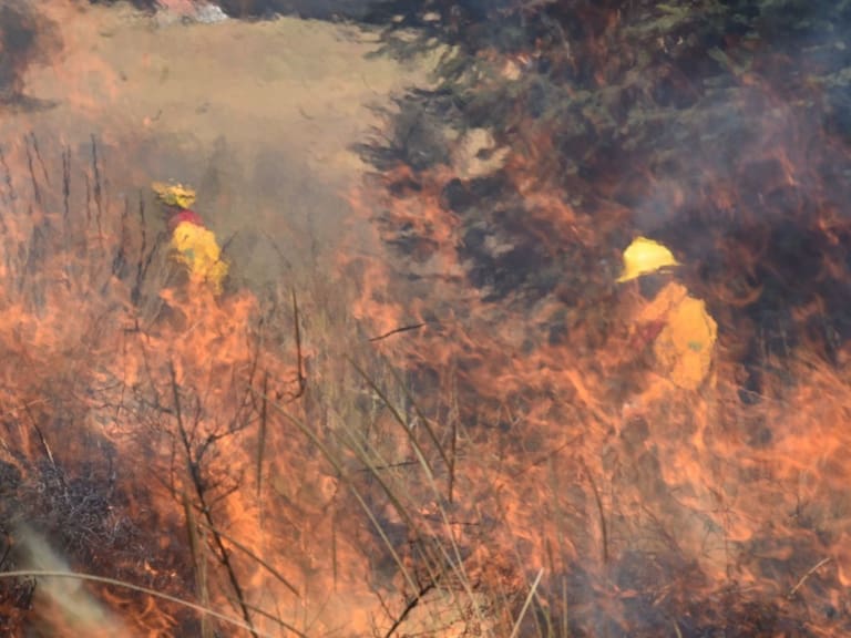 Se registran 37 incendios forestales en 10 estados del país: Conafor