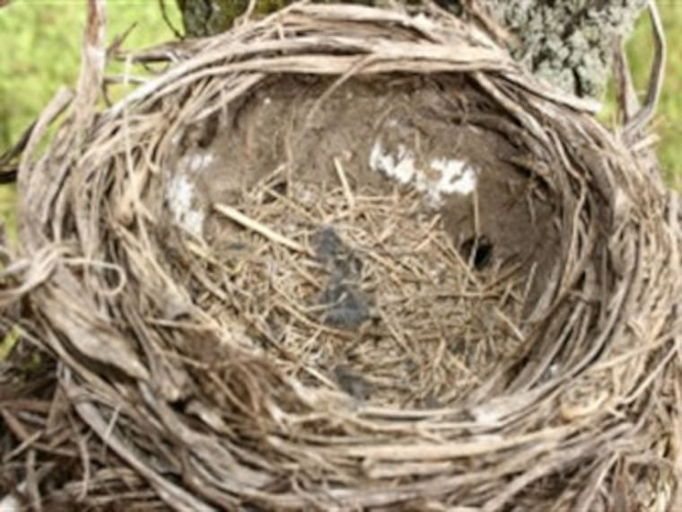 Síndrome del nido vacío, ¿Cómo es eso?