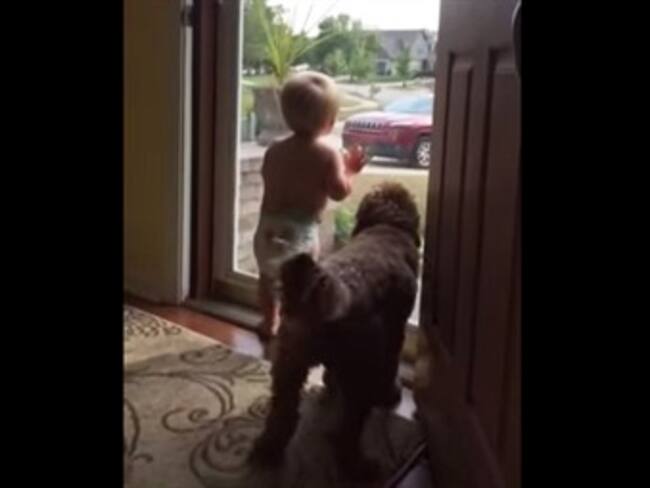 Perrito y bebé están igual de emocionados de que papá esté en casa