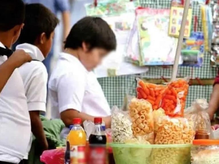 PRD y PT proponen prohibir venta de comida chatarra a menores en el país