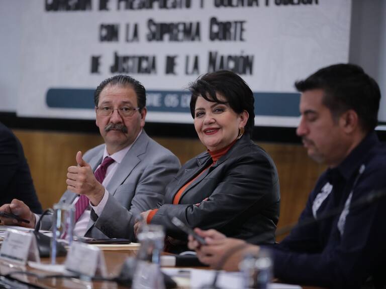 Diputados del PT rechazan presupuesto alternativo del PAN... “no es viable”