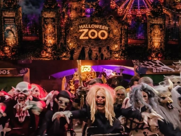 Mx - Halloween Zoo 2026.