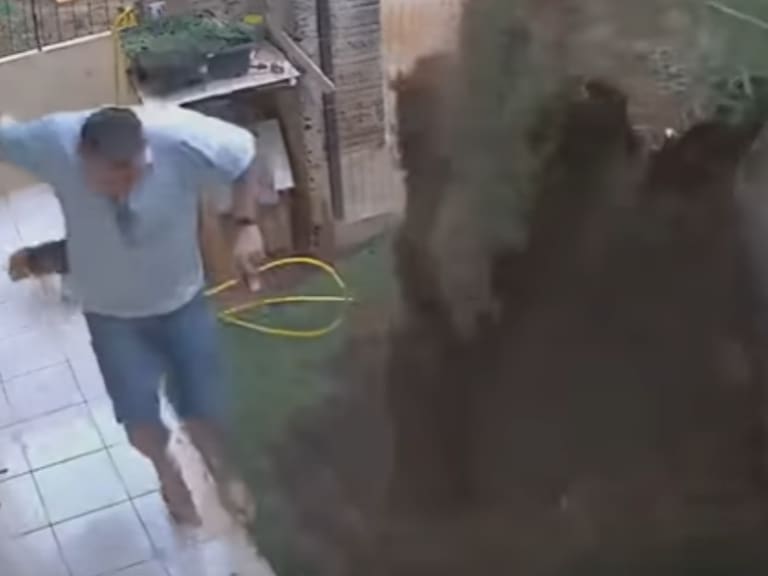 Hombre intenta eliminar nido de cucarachas y termina explotando su jardín
