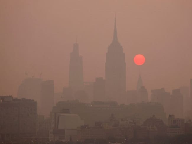 Contaminación en NY, llamado de atención internacional: Carol Perelman