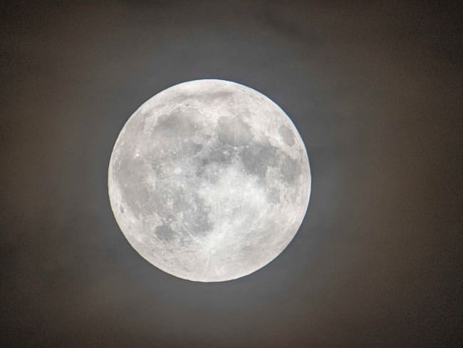 Luna del castor: cuándo ver la luna llena de noviembre 2024