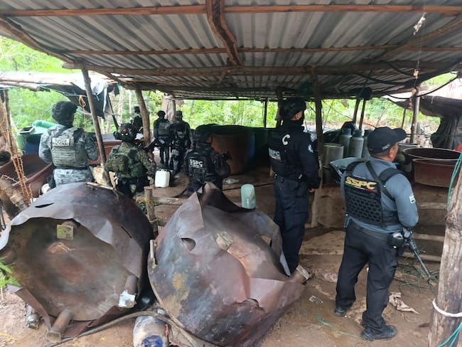García Harfuch reporta el desmantelamiento de tres narcolaboratorios de metanfetamina en Guerrero