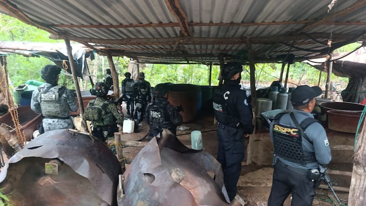 García Harfuch reporta el desmantelamiento de tres narcolaboratorios de metanfetamina en Guerrero
