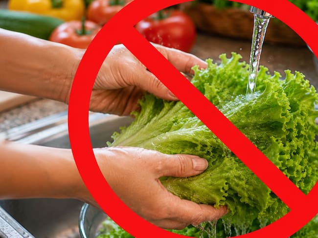¿Cómo desinfectar la lechuga correctamente? Expertos explican cómo prevenir la Cyclospora