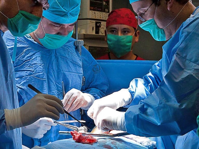 Pese a la pandemia, en el 2022 incrementó 31% la donación de órganos