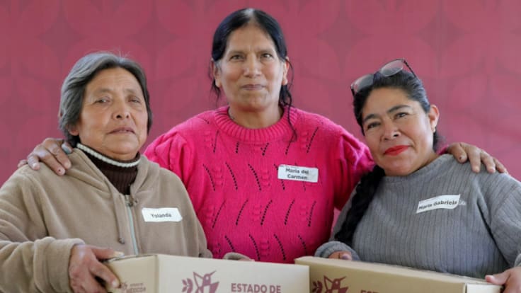 Registro Alimentación Bienestar 2026: Pasos para descargar el Manifiesto de Permanencia en Edomex