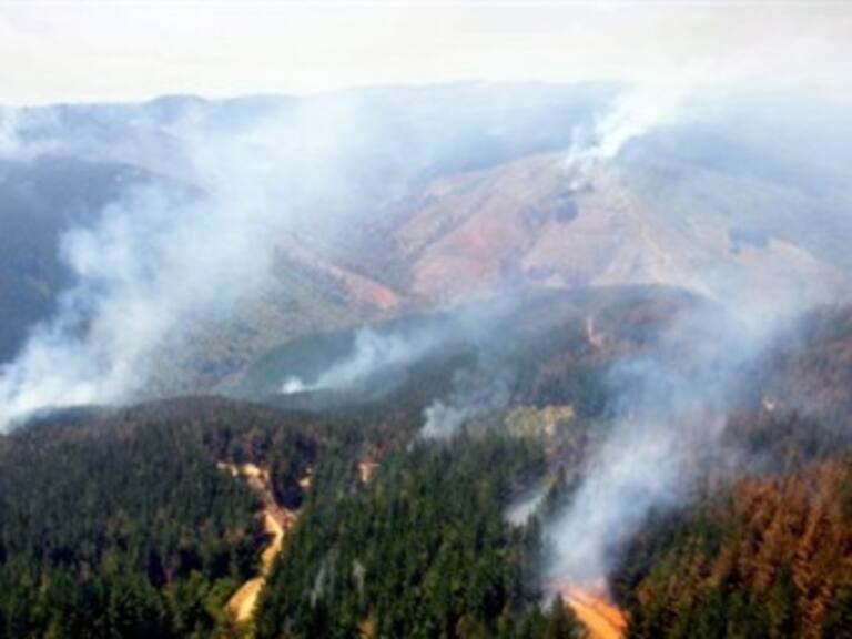 Enfrenta Chile emergencia por incendios forestales