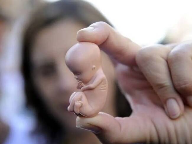 Innecesaria la iniciativa para despenalizar el aborto: Iglesia católica