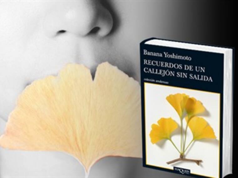 Recuerdos de un callejón sin salida. Javier Aranda, experto en libros. 25/01/13 /