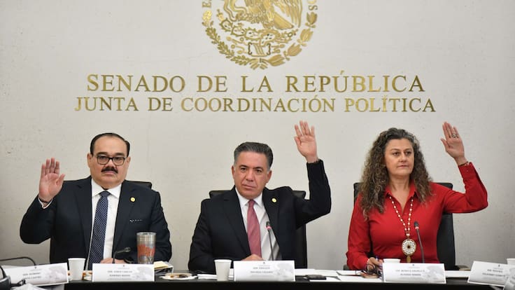 PVEM descarta ruptura con Morena pero fija límites en la Reforma Electoral