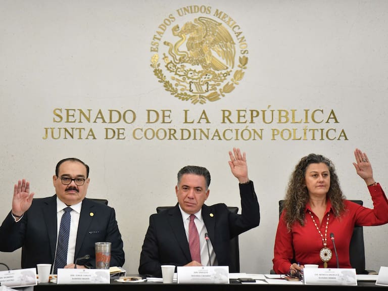 PVEM descarta ruptura con Morena pero fija límites en la Reforma Electoral