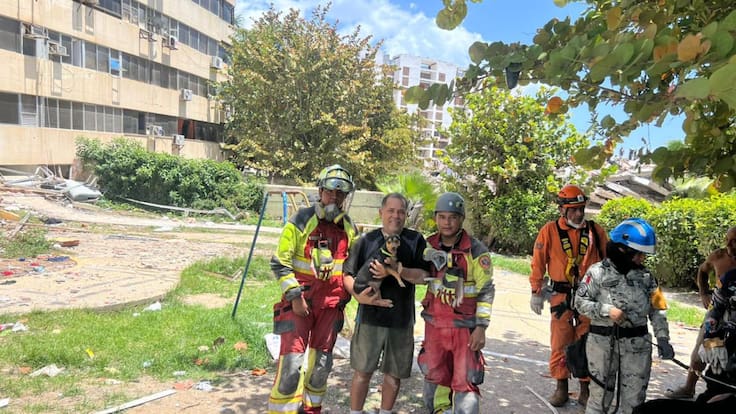 Sarita vuelve a ver la luz: el emotivo rescate de una perrita entre los escombros en Venezuela