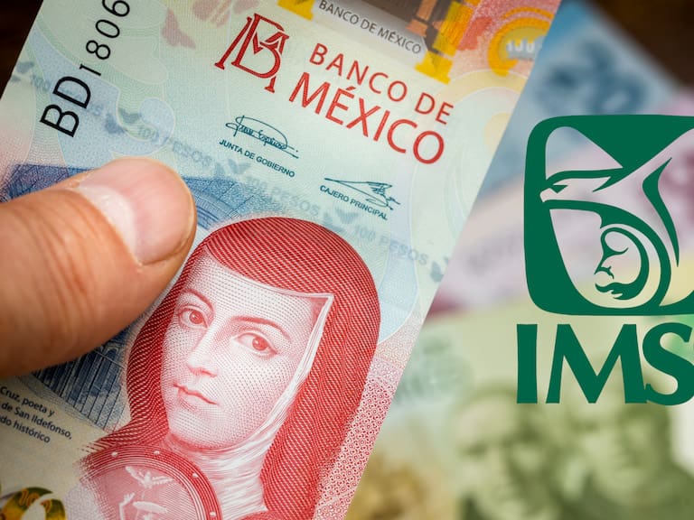 Considera que no puedes estar trabajando de forma formal al momento de pedir tu pensión anticipada ante el IMSS.
