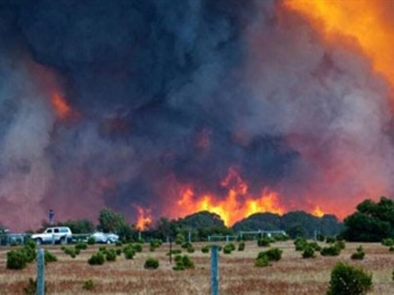 Incendios oscurecen cielo de Sídney
